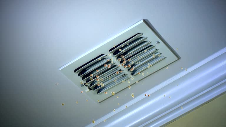 Best Air Duct Cleaning Company Near Me  in Slippery Rock University, PA